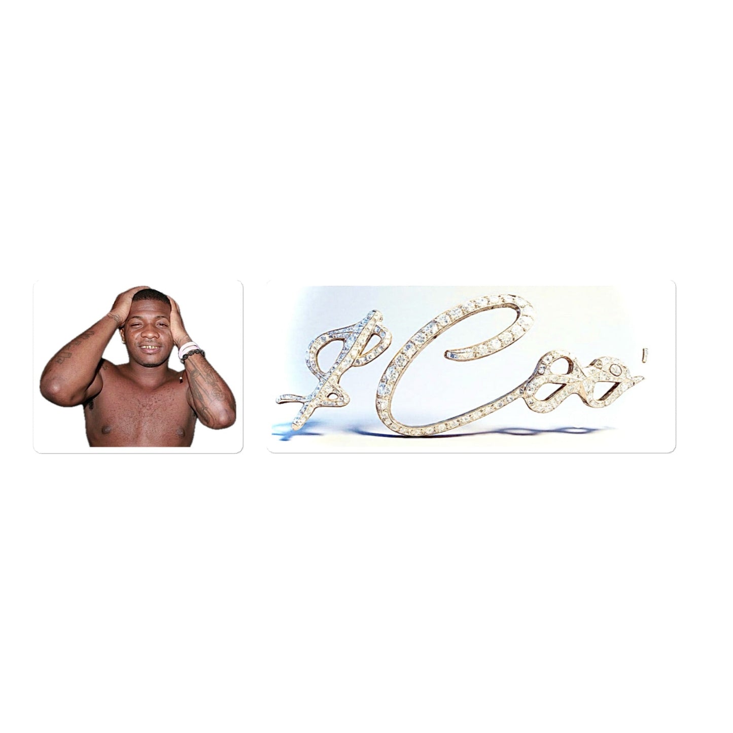 Money Coo ($Coo') Signature Bubble-Free StickersAccessoriesMade In Galveston
