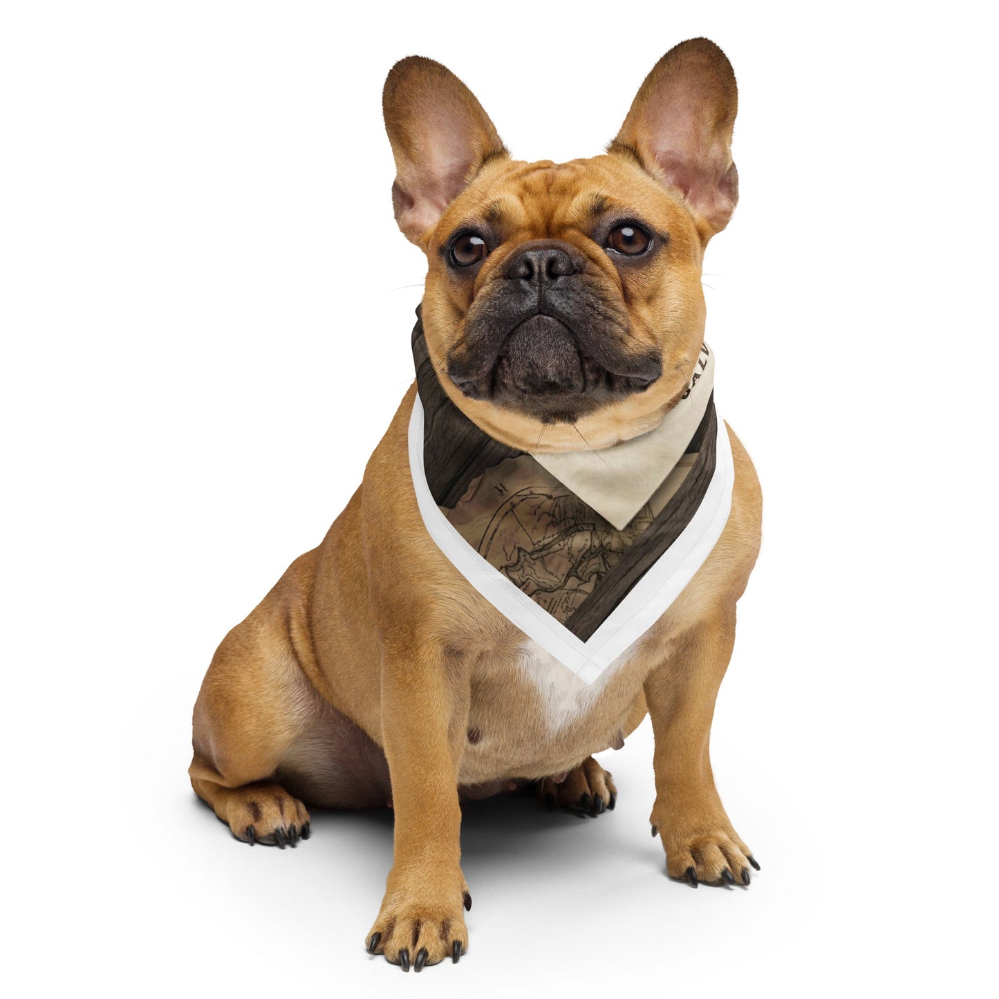 Phantom Face of Ewing Hall Halloween All-over print bandanaAccessoriesMade In Galveston